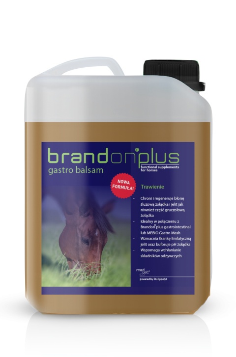 BRANDON+ GASTRO BALSAM NA WRZODY 2,5 l BRANDON+ GASTRO BALSAM NA WRZODY 2,5 l