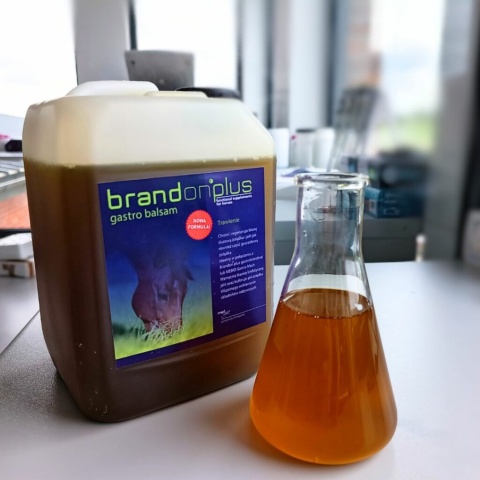 BRANDON+ GASTRO BALSAM NA WRZODY 2,5 l BRANDON+ GASTRO BALSAM NA WRZODY 2,5 l