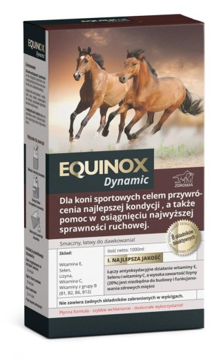 EQUINOX DYNAMIC POPRAWA KONDYCJI 1 l