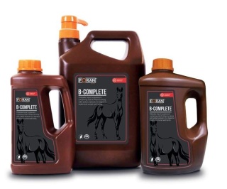FORAN Witaminy z grupy B z dodatkiem prebiotyku B-COMPLETE 1l