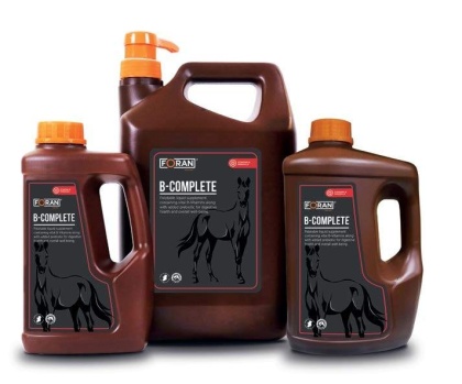 FORAN Witaminy z grupy B z dodatkiem prebiotyku B-COMPLETE 2,5l