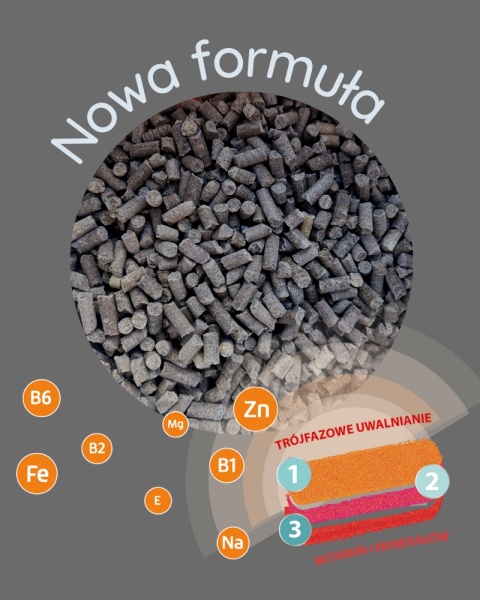 MEBIO KIESELGUR MSM+WIT.C TRÓJFAZOWE WSPARCIE RUCHU 1kg MEBIO KIESELGUR MSM+WIT.C TRÓJFAZOWE WSPARCIE RUCHU 1kg