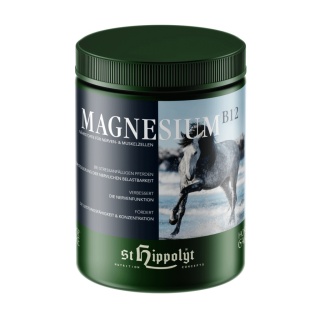 ST HIPPOLYT Magnez MAGNESIUM + B12 1 kg
